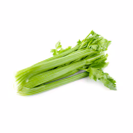 Celery 1 Bunch