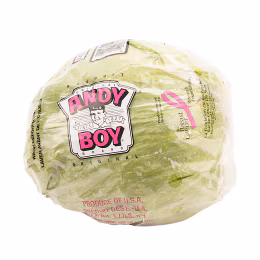 Iceberg Lettuce (1bunch)