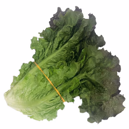 Red Leaf Lettuce (1pc)