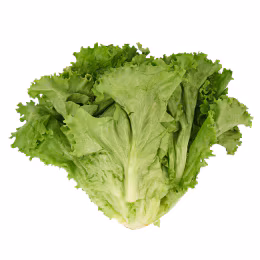 Green Leaf Lettuce (1bunch)