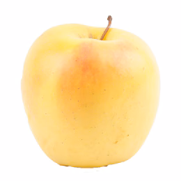 Small Golden Apple (~2.8lb)