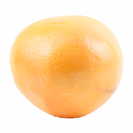 Large Grapefruit (1pc)
