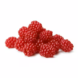 Raspberry