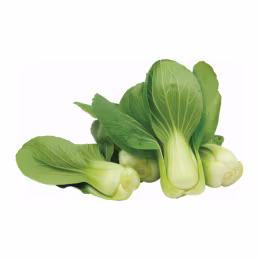 Shanghai Bok Choy Sprout (1.5lb)