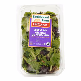 Spring Mix Salad (454g)