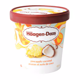 Häagen-Dazs Pineapple Coconut Ice Cream (450mL)