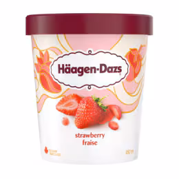 Häagen-Dazs Strawberry Ice Cream (450mL)