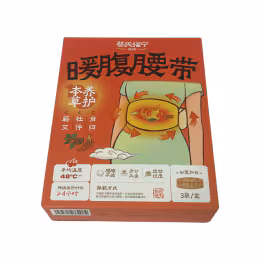Cai Shi Fu Ning Warming Waist Belt (5pcs)