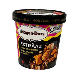 Häagen-Dazs Extraaz Maple Almond Toffee Ice Cream (450mL)