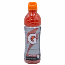 Gatorade Fruit Punch Sports Drink (710mL)