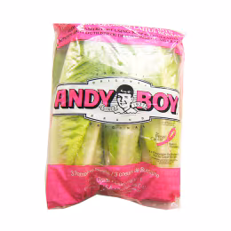 Romaine Heart Lettuce (1bag)