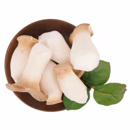 Organic King Oyster Mushroom-Baby (~170g)