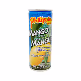 Philippine Mango Juice Nectar (250ml)