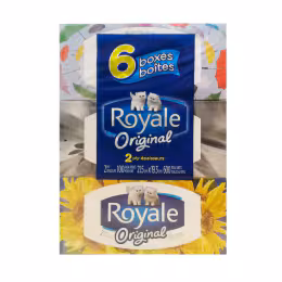 Royale Facial Tissue (100sx6)
