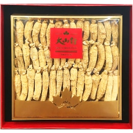 Great Mountain Ontginseng-M Med-Short 200g