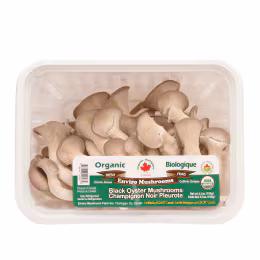 Organic Black Oyster Mushroom (150g)