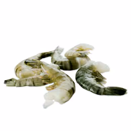 IQF Black Tiger Shrimp Headless 16/20 (~1lb)