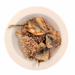 T&T Kitchen Umami Gold Needle Fish (60g)
